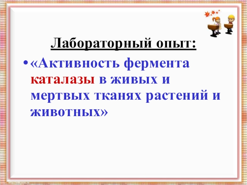 Активность фермента каталазы. Активность фермента каталазы в животных и растительных тканях. Каталитическая активность ферментов в живых и мертвых тканях. Активность ферментов каталазы в животных и растительных. Активность фермента каталазы в живых и растительных тканях.