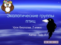 Презентация по биологии на тему Экологические группы птиц