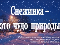 Презентация по окружающему миру на тему Снежинка - это чудо природы (1 - 4 класс)