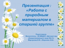 Работа с природным материалом в старшей группе (начало учебного года)