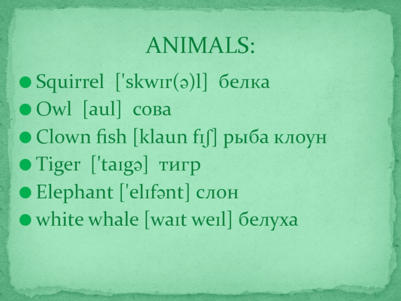 Squirrel ['skwɪr(ə)l] белкаOwl [aul] соваClown fish [klaun fɪʃ] рыба клоунTiger ['taɪgə]  тигрElephant ['elɪfənt] слонwhite whale [waɪt weɪl] белухаANIMALS: