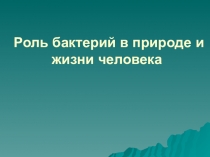 Роль бактерий в природе и жизни человека