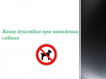 Ваши действия при нападении собаки