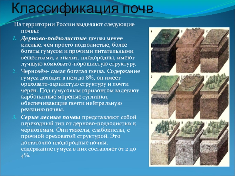 Классификация почвНа территории России выделяют следующие почвы:Дерново-подзолистые почвы менее кислые, чем просто подзолистые, более богаты гумусом и
