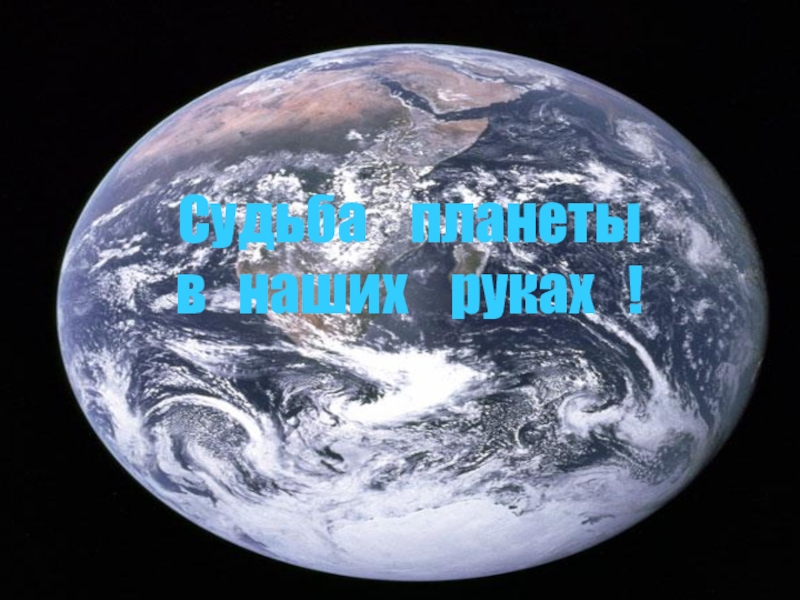 Экология