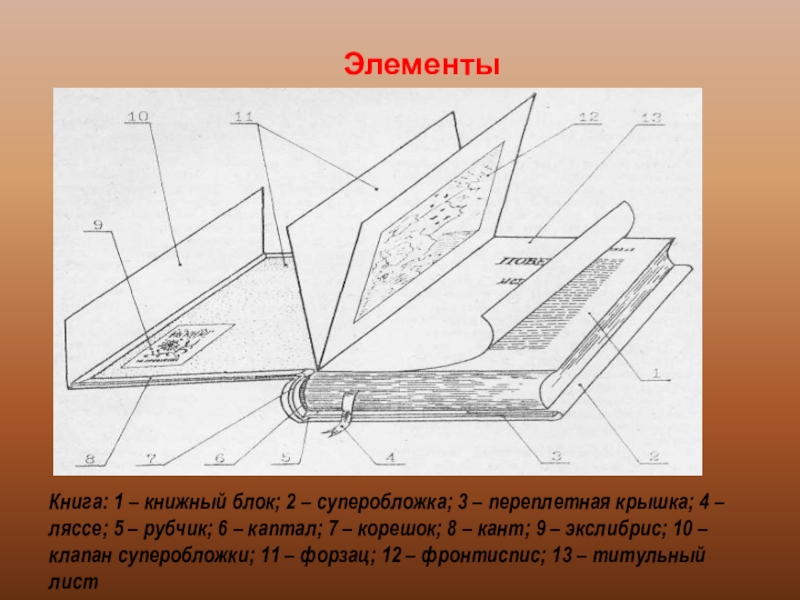 Презентация элементы книги