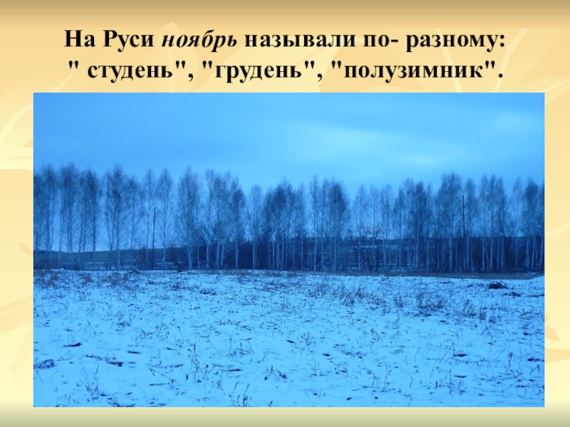 Ноябрь на руси. Почему ноябрь называли грудень. Ноябрь полузимник почему. Полузимник месяц.