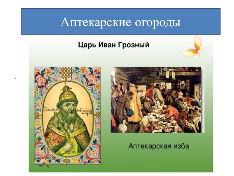 Лекарь ивана грозного аудиокнига 3. Аптекарская изба. Изба при Иване Грозном. Аптекарский огород Ивана Грозного. Аптекарские избы при Иване Грозном фото.