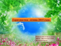 Презентация по экологии Птица года 2015 - Горихвостка