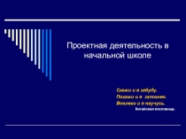 Презентация к докладу ПРОЕКТНАЯ ДЕЯТЕЛЬНОСТЬ В НАЧАЛЬНОЙ ШКОЛЕ