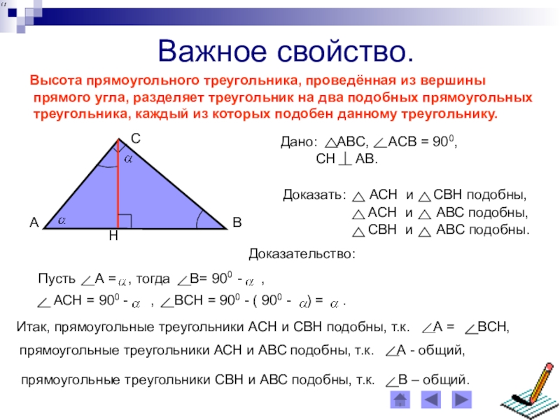 Высота делит треугольник на два. Свойство высоты прямоугольного треугольника доказательство. Высота из прямого угла прямоугольного треугольника свойства. Свойство высоты прямоугольного треугольника опущенной на гипотенузу. Лемма о высоте прямоугольного треугольника с доказательством.