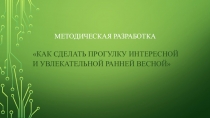 Презентация Как сделать прогулку интересной и увлекательной ранней весной. Старший дошкольный возраст.