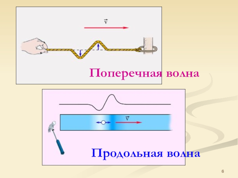 Примеры поперечных волн. Поперечные волны. Поперечные или продольные волны. Поперечные волны рисунок. Продольные электромагнитные волны.