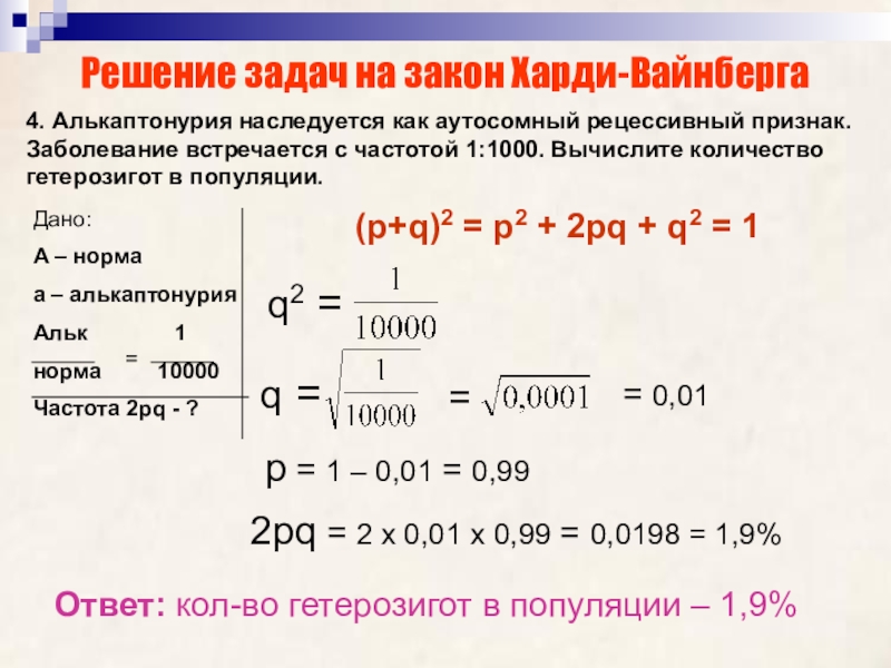 Закон харди вайнберга презентация