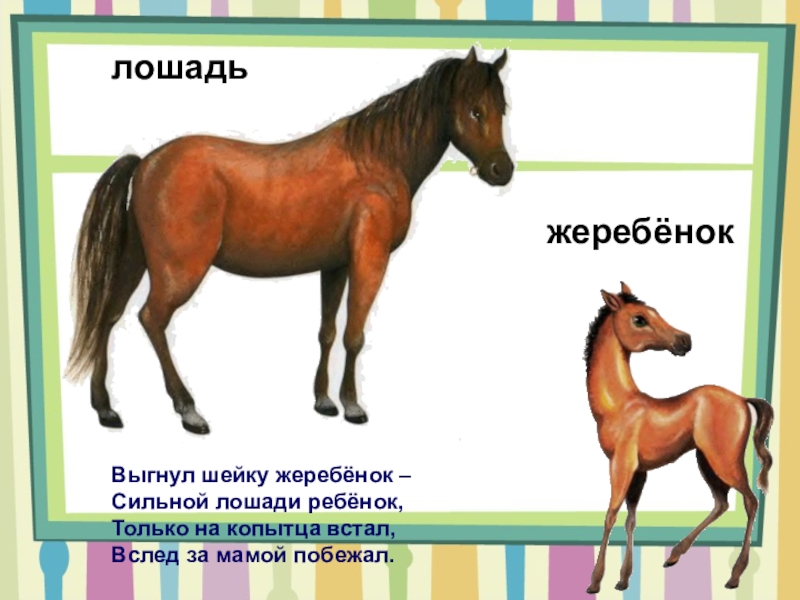 Конь части слова. Лошадь для детей. Лошадь карточка для детей. Домашние животные лошадь для детей. Карточки для детей лошадка.