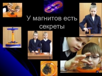 Проектная деятельность . Магнетизм