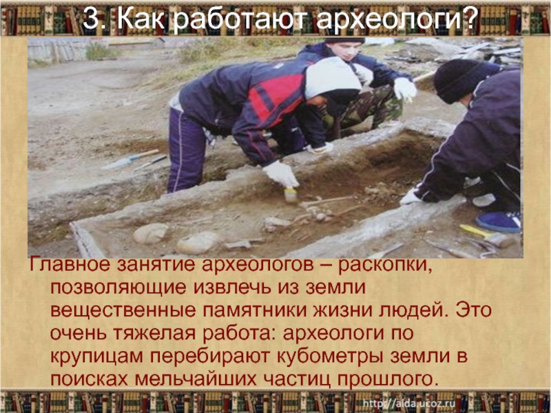 Чем полезна работа археолога впр