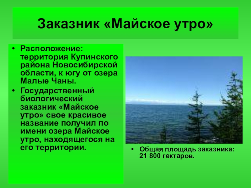 Памятники природы новосибирской области презентация