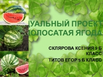 Презентация по биологииАрбуз - полосатая ягода 5 класс