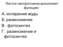 Презентация к уроку Голосеменные 7 класс