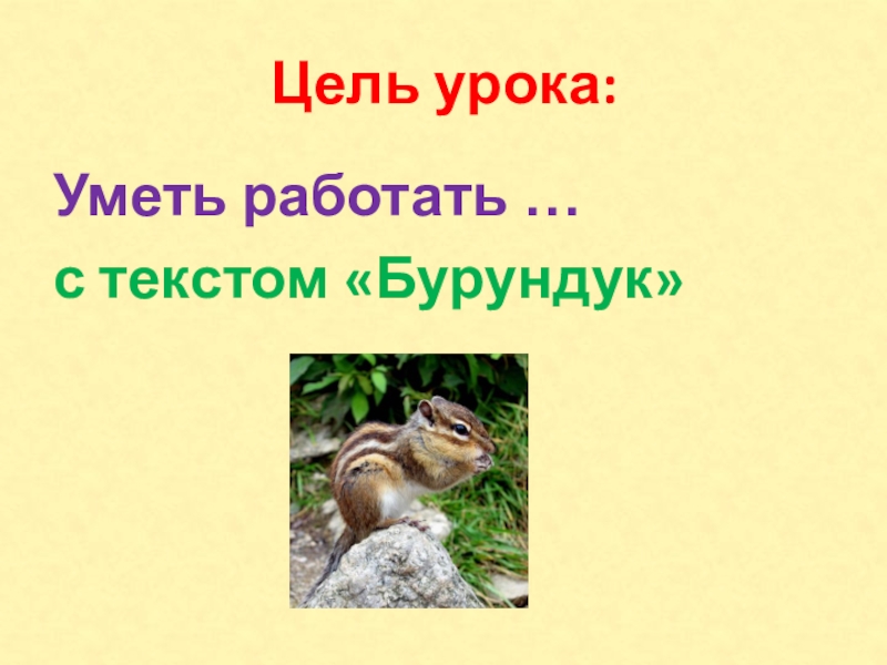 Цель урока:Уметь работать …с текстом «Бурундук»