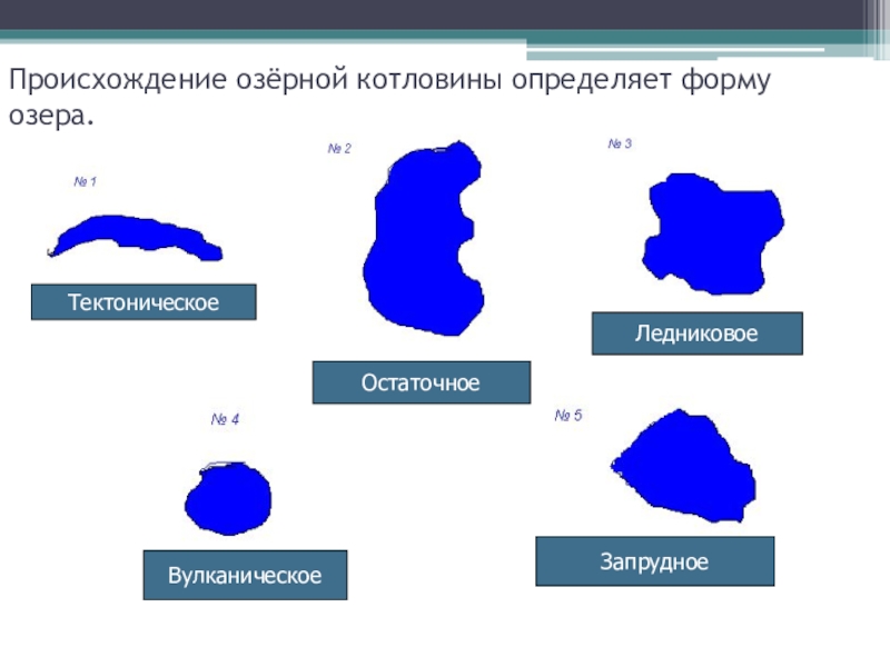 Виды озер схема