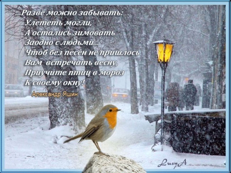 Стихотворение покормите зимой. Стихи про птиц. Красивые выражения о птицах. Высказывания про птиц зимой. Афоризмы про птиц.