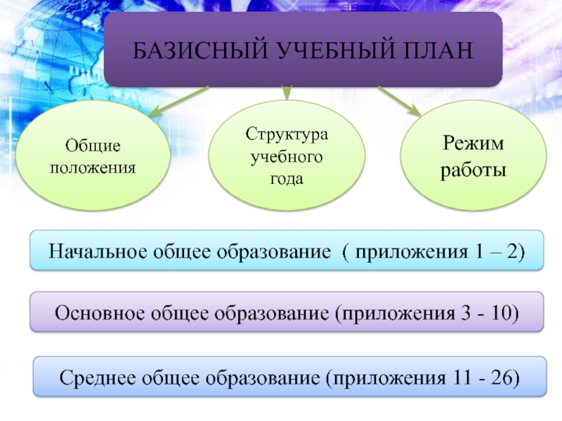 Виды базисного учебного плана