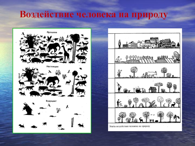 Макроэволюция 9 класс презентация