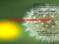 Презентация по биологии Видоизменения корней