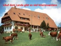 Презентация по немецкому языку Auf dem Lande gibt es viel Interessantes