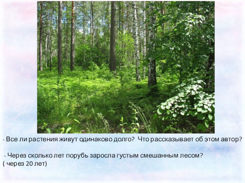 Жили одинаково. Мамин Сибиряк тайны зеленого леса. Сколько лет живет трава.