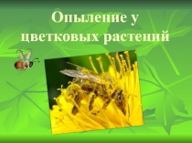 Презентация по биологии на тему Опыление у цветковых растений (в соответствии с ФГОС) (5 класс)