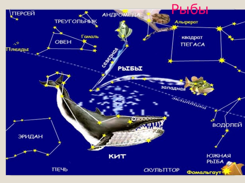 Созвездие кита схема
