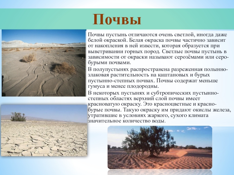 Особенности почв полупустынь. Полупустыни и пустыни почвы. Почвы пустыни и полупустыни в России. Пустыни и полупустыни Тип почвы. Тип почв пустынь и полупустынь в России.