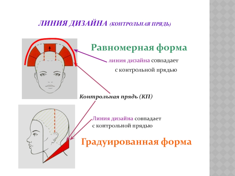 Что такое модуль в стрижке