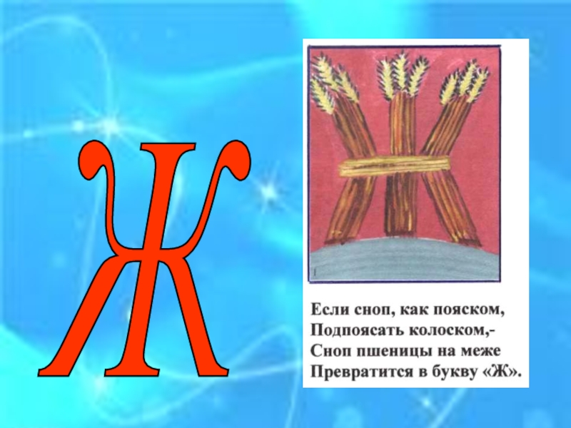 1 класс презентация буквы ж