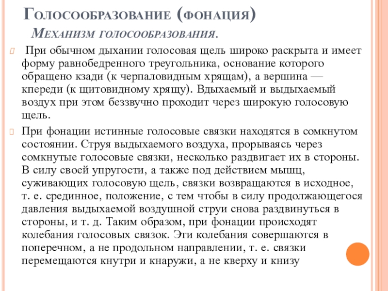 В голосообразовании участвует