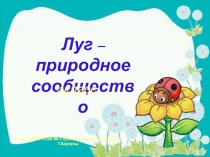 Презентация по окружающему миру на тему Жизнь луга. Луг - природное сообщество(4 класс)