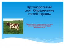 Крупнорогатый скот.