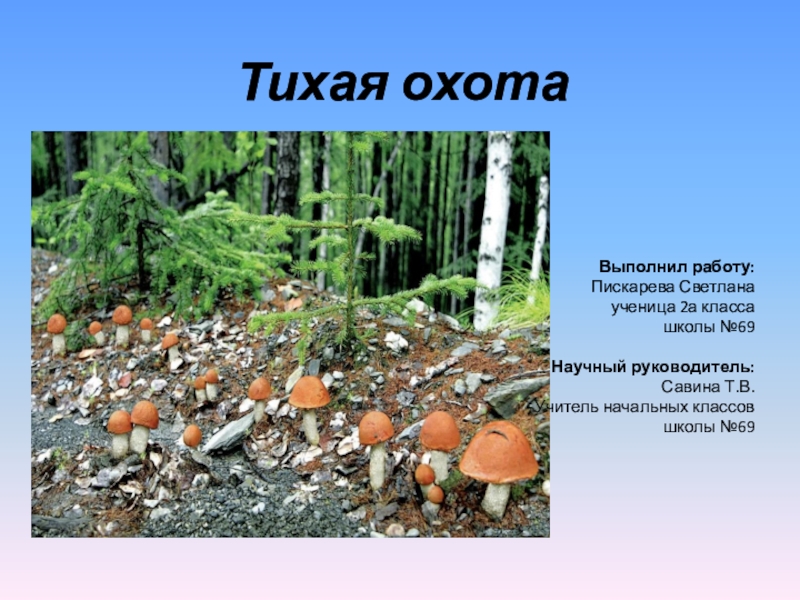 Презентация Презентация Тихая охота. Основные виды грибов Ярославской области, правила сбора грибов, а также основные опасности при сборе грибов