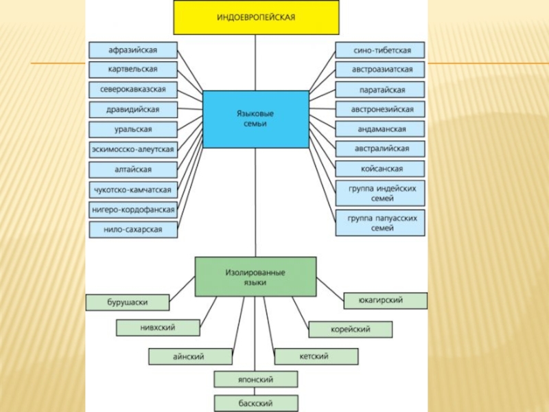 Генеалогические семьи языков