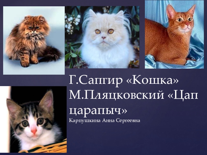 Стихи о животных г сапгира и токмаковой м пляцковского 1 класс презентация