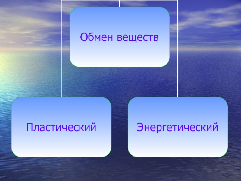 Класс обмен. Обмен веществ пластический и энергетический. Обмен веществ пластический и энергетический обмен. Процессы энергетического и пластического обмена. Пластический и энергетический обмен 8 класс.