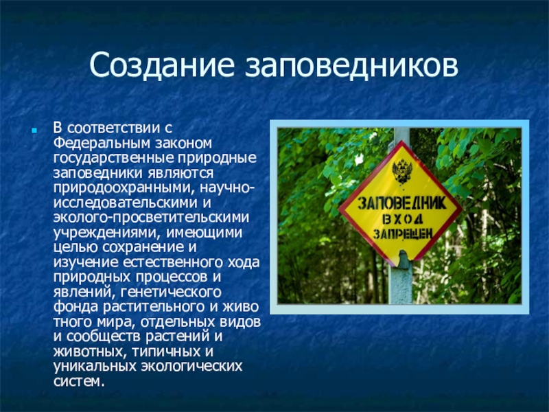 Цель создания заповедников. Цель создания заказников. Как создаются заповедники. Для чего создаются заповедники.