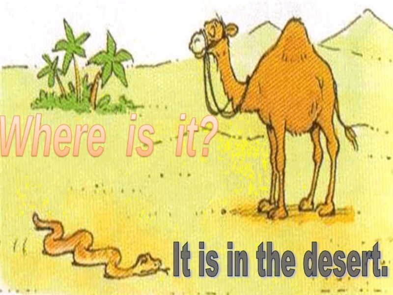 Where is it?It is in the desert.