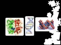 Презентация по биологии 10 класс