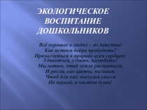 Презентация по экологии Экологическое воспитание дошкольников