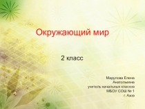 Презентация по окружающему миру  Птицы (2 класс)