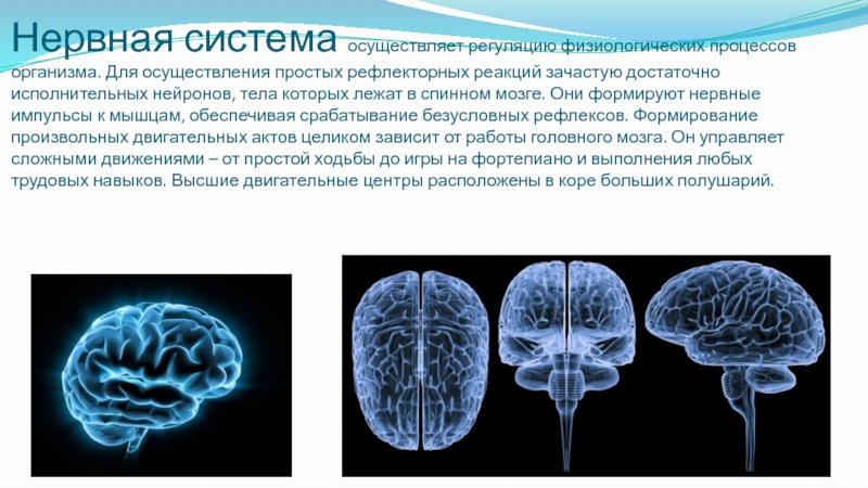 Какая система осуществляет